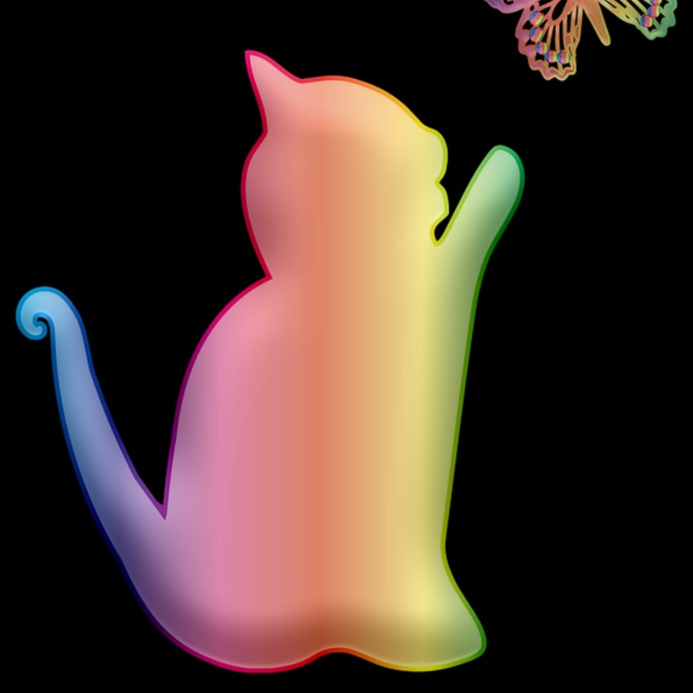 Meet your Posher, Katherine